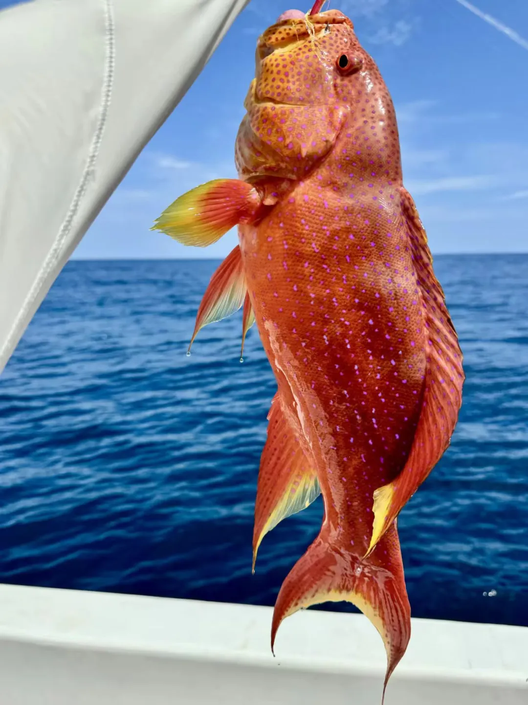 8fbaa750fbdd7bac28922c4d1e0fa3bb-sz_1688297 8fbaa750fbdd7bac28922c4d1e0fa3bb-sz_1688297