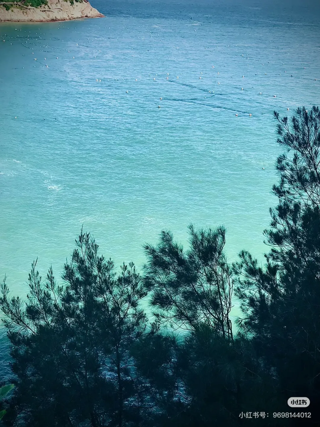 8ffa783de496fa8ed0a960f9b38df2cb-sz_756329 8ffa783de496fa8ed0a960f9b38df2cb-sz_756329