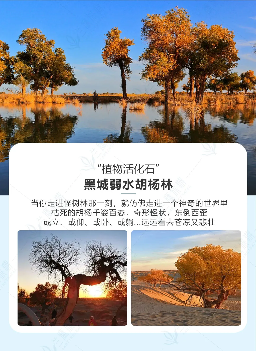 901b944fde75bed94b5ec4ea5aedced5-sz_432264