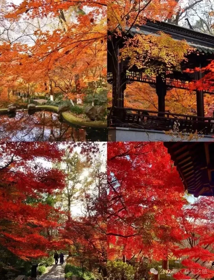 90a1f88b764a73ec306cd4a83b74d493-sz_419440 90a1f88b764a73ec306cd4a83b74d493-sz_419440