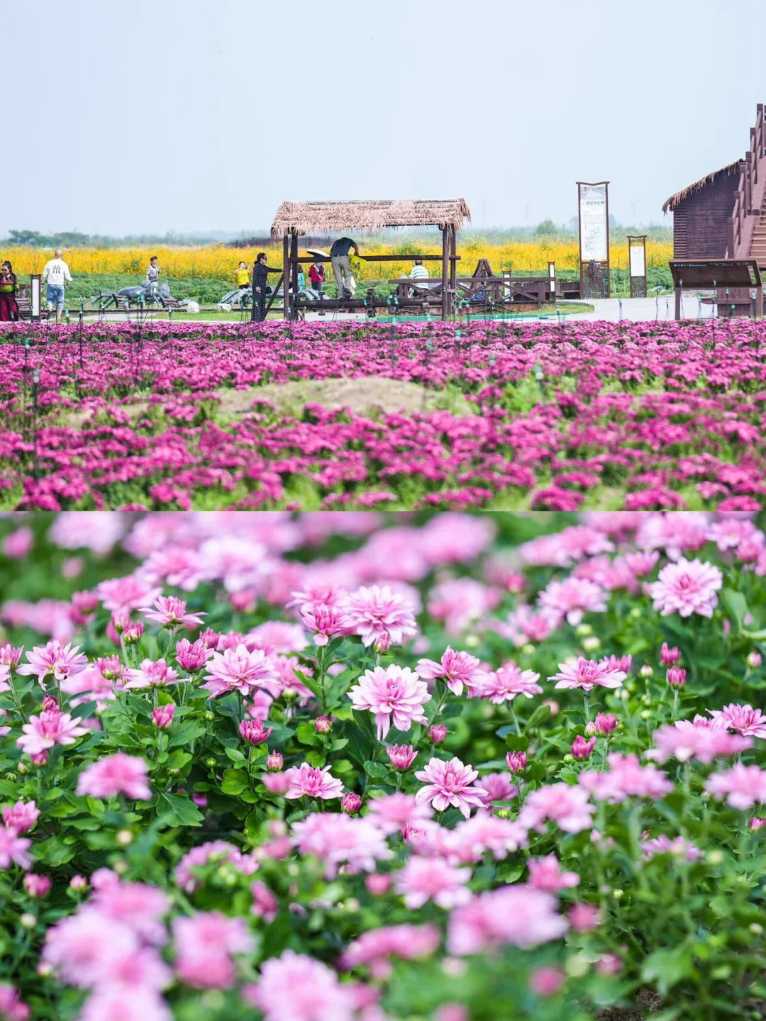 9168d552fa6c8db943daacdfb2ecb5c7-sz_3370537-1