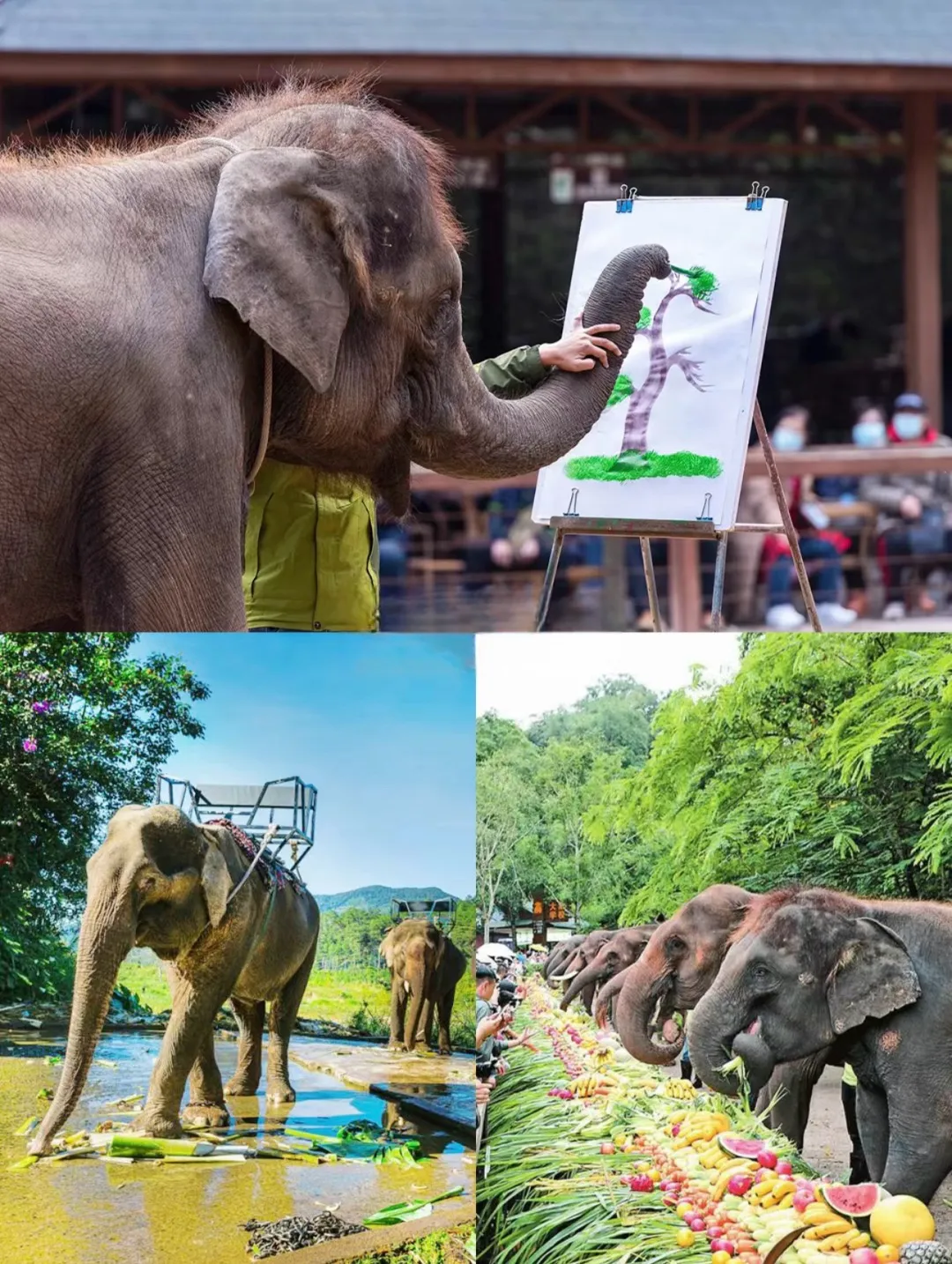 917cc8618e9a7c7afc8db8cd6ff1a9ec-sz_486627 917cc8618e9a7c7afc8db8cd6ff1a9ec-sz_486627