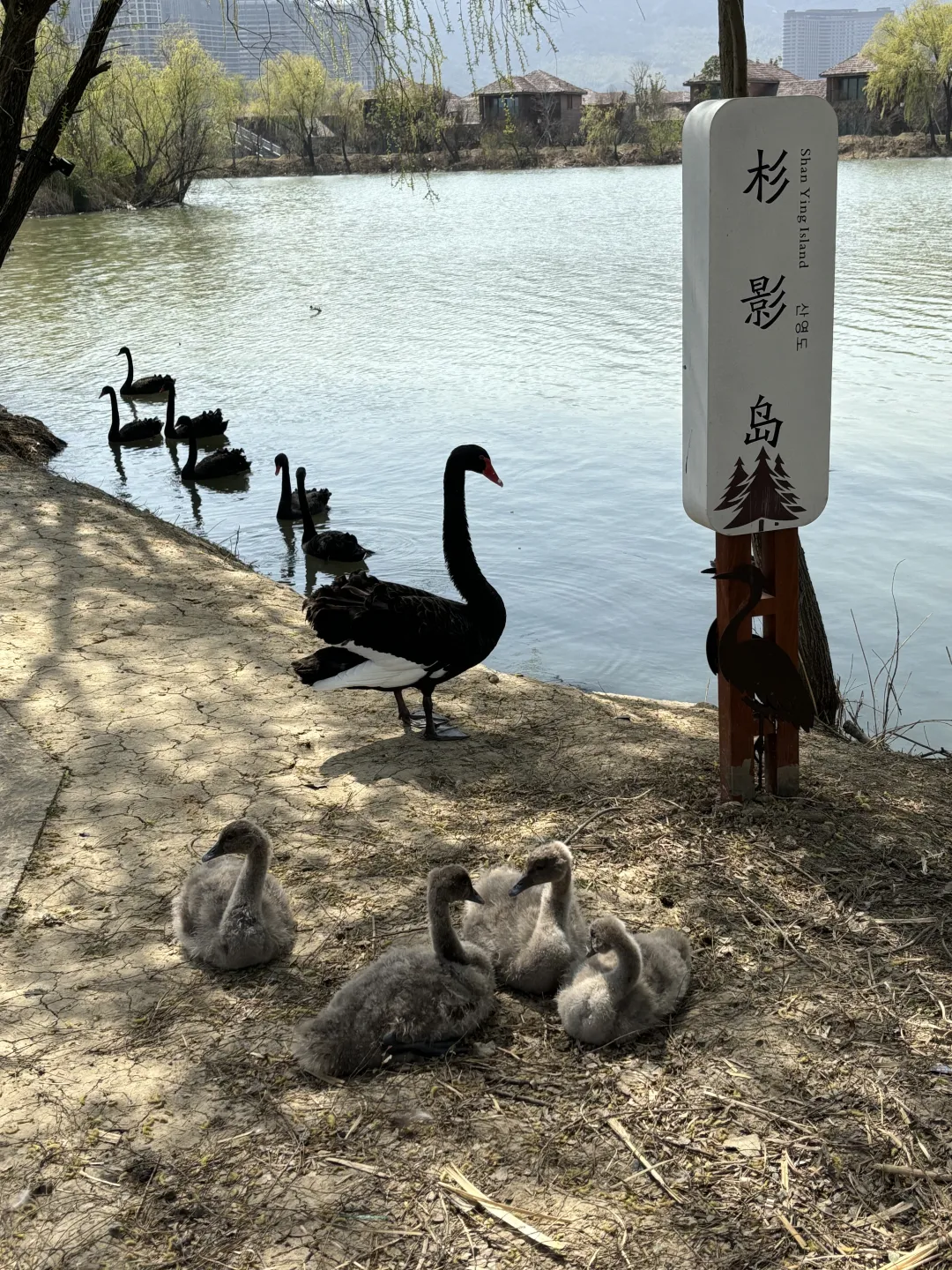 917db827a48cd3eb80e7bf57f7a33dc9-sz_5269744