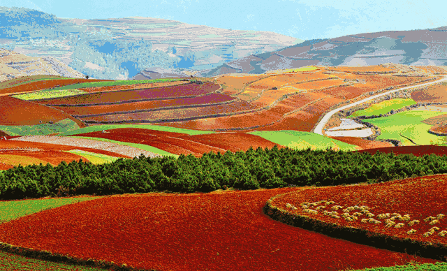 9203168682e84ca78956c2024a444b73-sz_469900 9203168682e84ca78956c2024a444b73-sz_469900