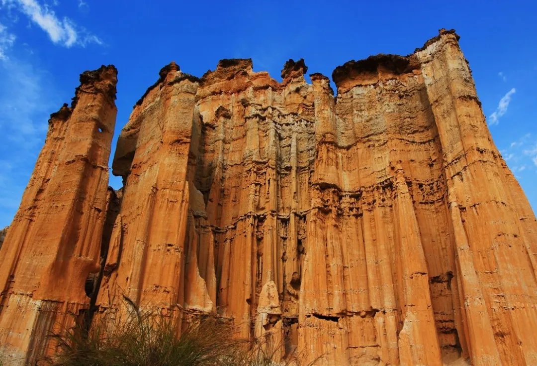 92d0136395a65d86f3bfb96c68f4499a-sz_2143154 92d0136395a65d86f3bfb96c68f4499a-sz_2143154