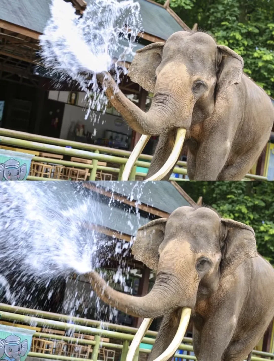 92ebd1d24c016ccf2f056697279ac563-sz_534048 92ebd1d24c016ccf2f056697279ac563-sz_534048