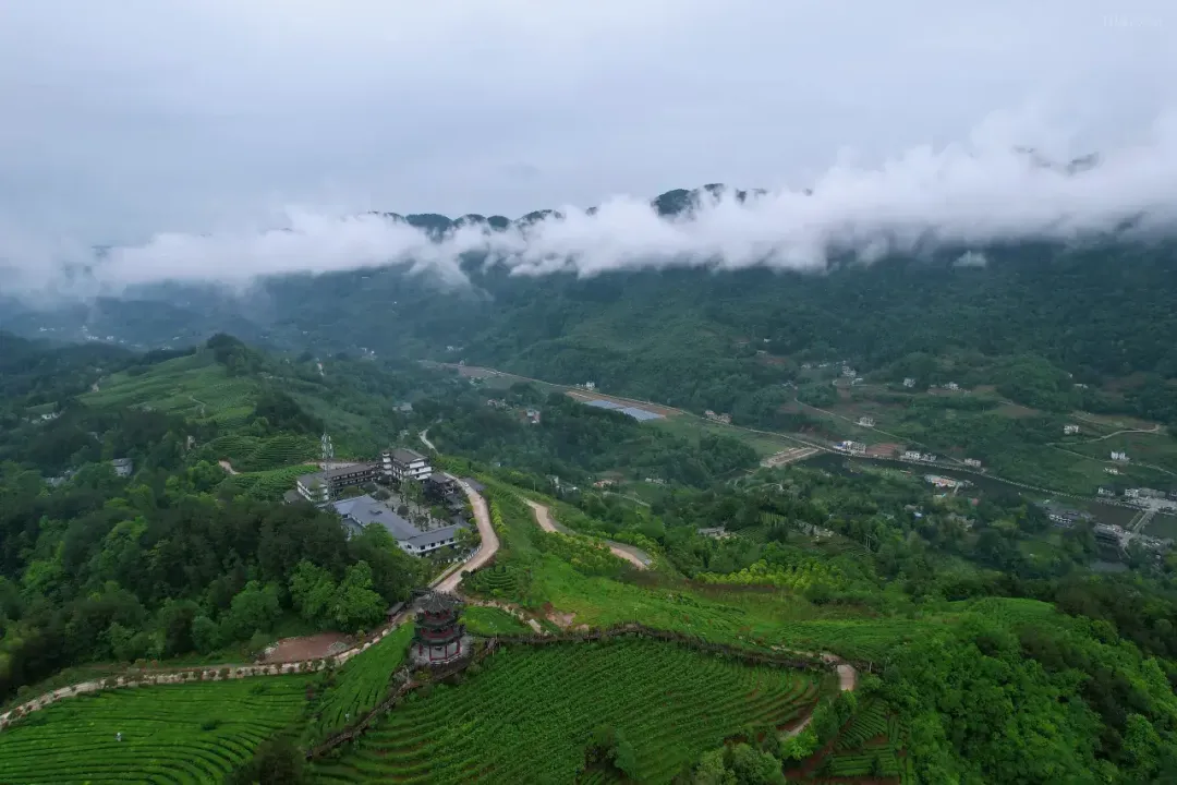 935793af1e901469d176859b359bb328-sz_1294982 935793af1e901469d176859b359bb328-sz_1294982