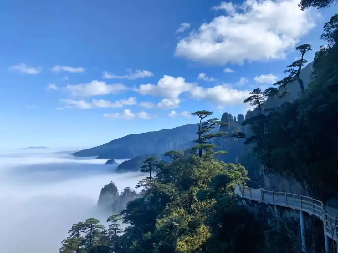 94236f8f73f7f28b28a4b7c0d7f3fe82-sz_106939 94236f8f73f7f28b28a4b7c0d7f3fe82-sz_106939