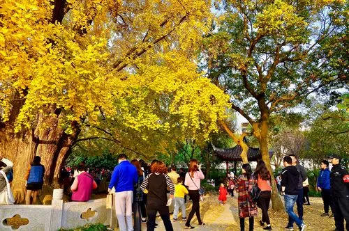 9478711a34dcb2efed8b42028db9b149-sz_78578 9478711a34dcb2efed8b42028db9b149-sz_78578