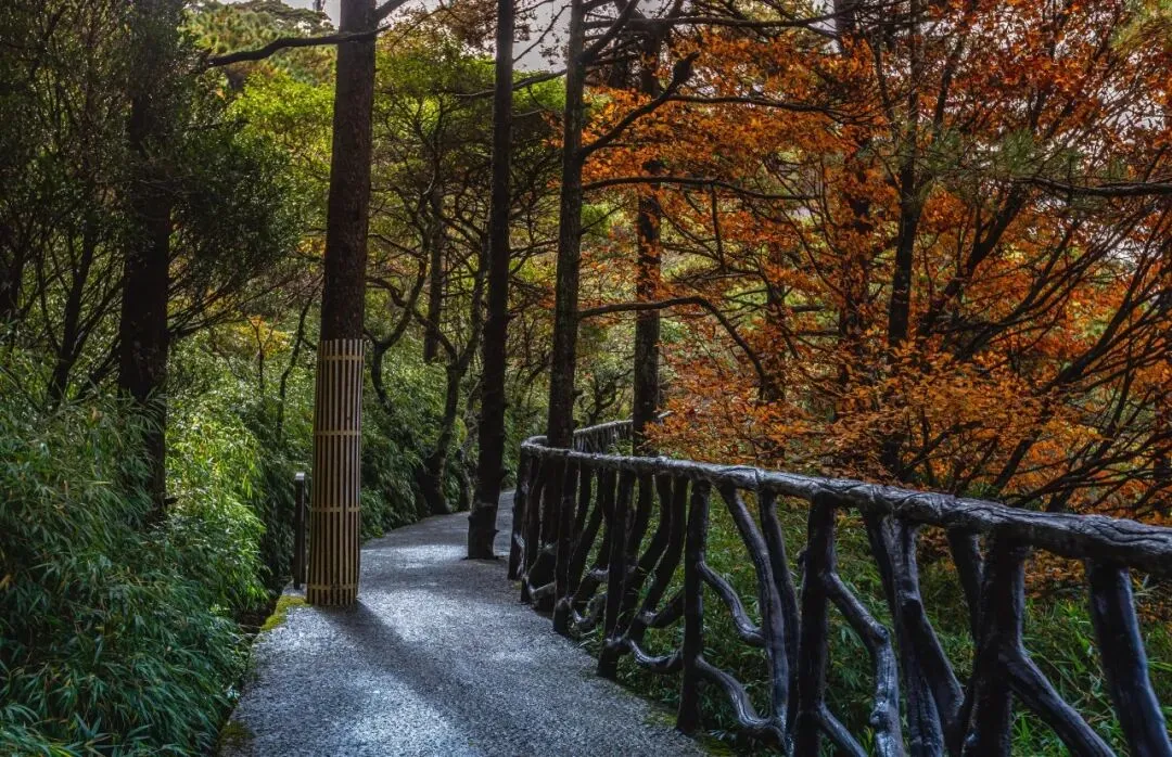 947fbbbc5428c73696f49a26fead89cd-sz_229490-2