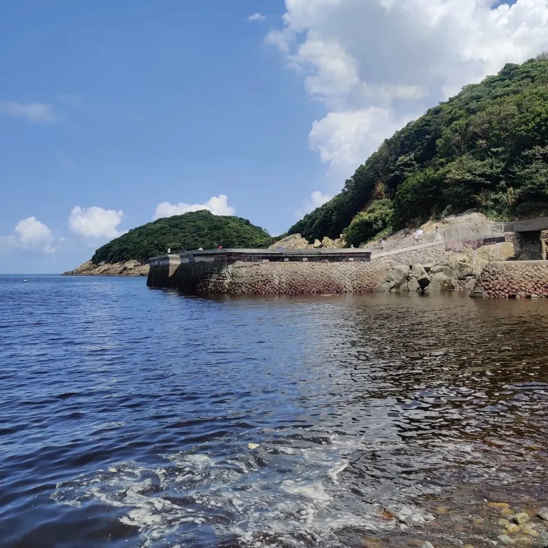 949eaa125139fc54cc733fbb7e028caa-sz_227252 949eaa125139fc54cc733fbb7e028caa-sz_227252