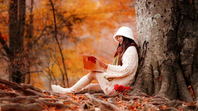 95216d343ec0b866a77827cc81906dfd-sz_3783183 95216d343ec0b866a77827cc81906dfd-sz_3783183