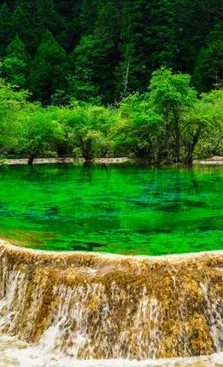 957a145376c909d2c5e95218b031aee9-sz_63406-5