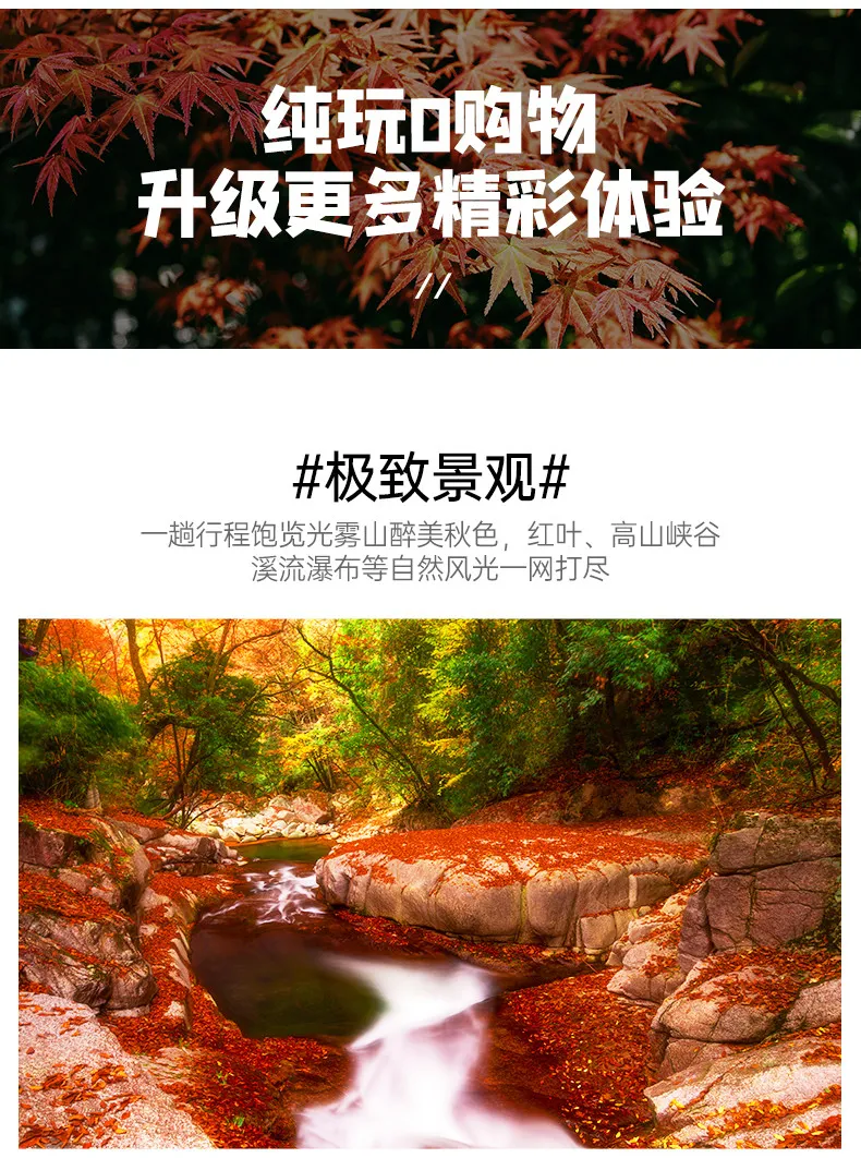95aa2d43a599565aa4b8c8fb451782d0-sz_1772272-1