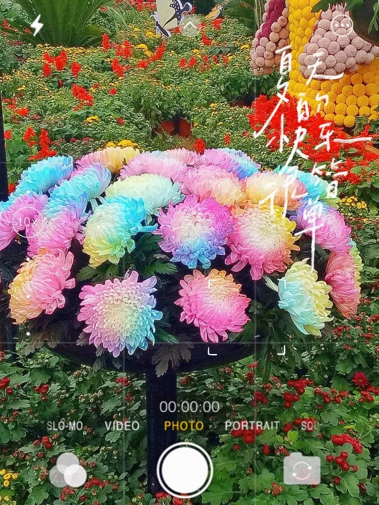 9620ef02c77d1fa28cb4a89167c4c77f-sz_1721847 9620ef02c77d1fa28cb4a89167c4c77f-sz_1721847