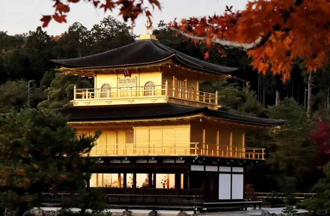 965c1d99d539345f1e9c0f90c339b5a5-sz_359185