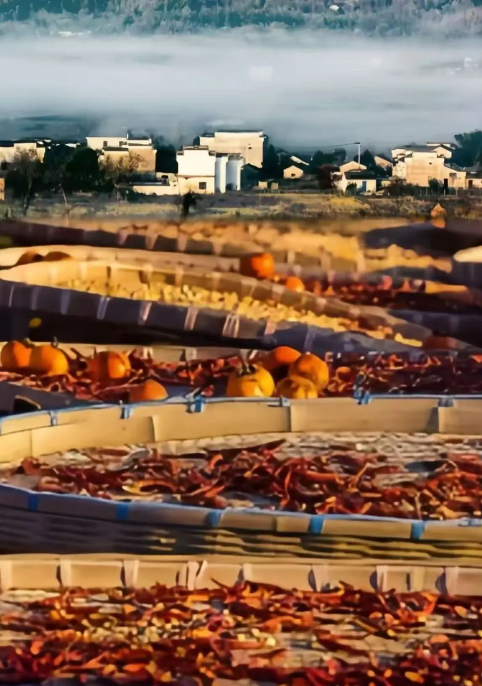 965c4aaf32dcaca098cff53b014a2f9d-sz_222228