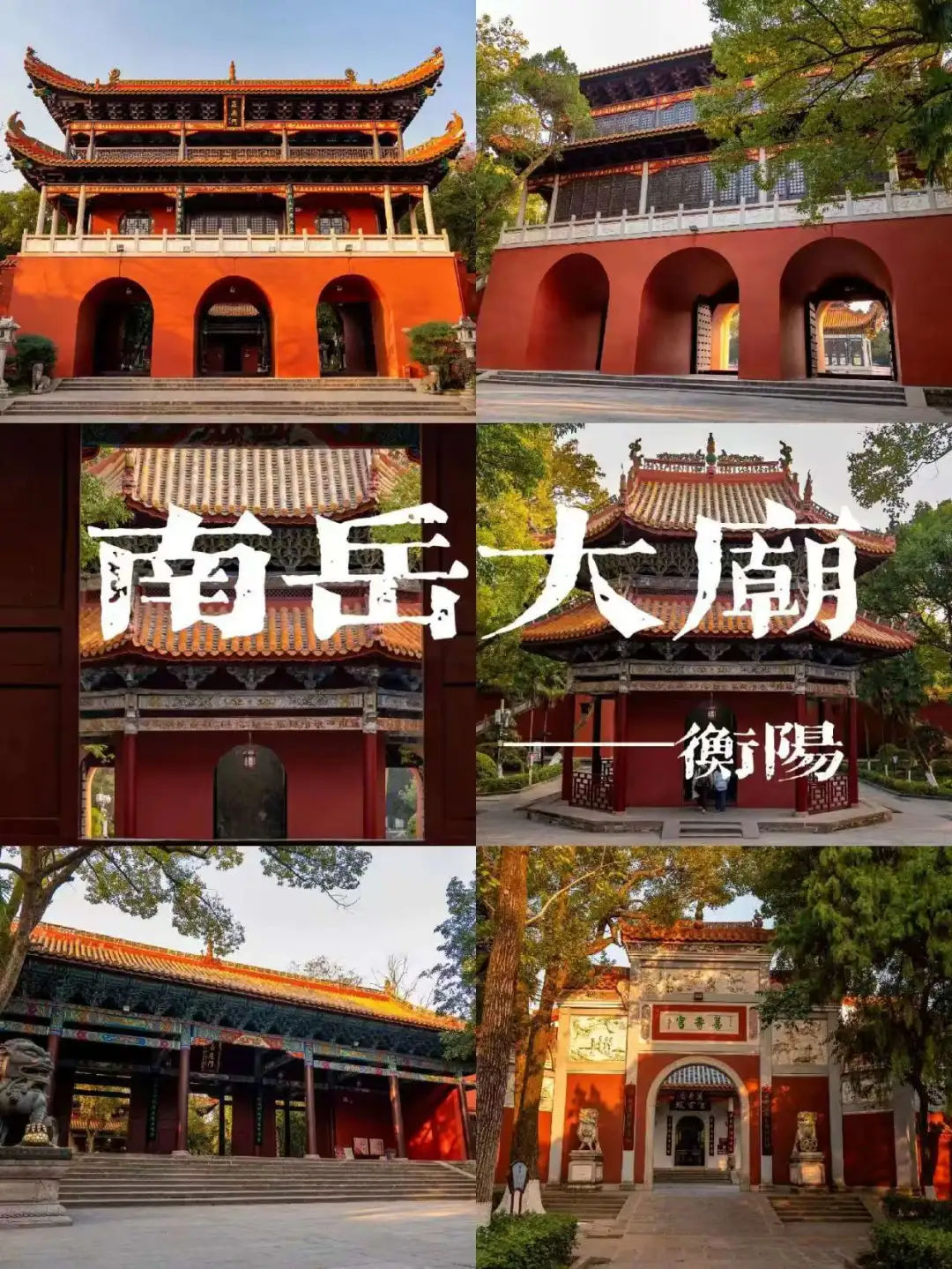 969a1167c3cd43a78ffac394897428cf-sz_339741 969a1167c3cd43a78ffac394897428cf-sz_339741