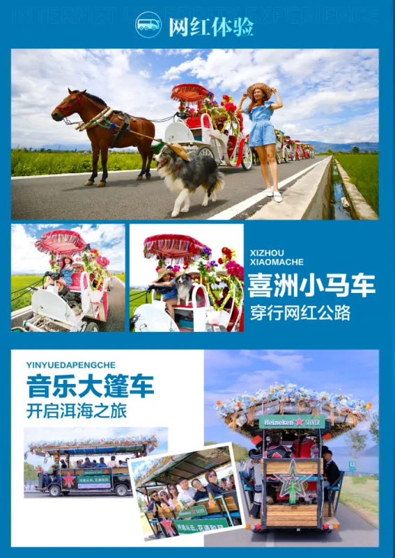 972898f08c8009b52553a53c0fd8e04f-sz_688205 972898f08c8009b52553a53c0fd8e04f-sz_688205