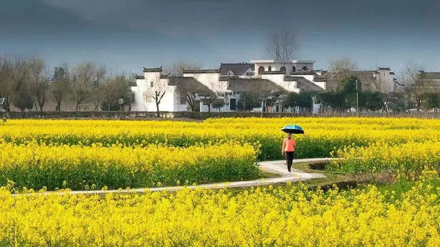 97516fa7879d086ccdc8a35cee54e6ff-sz_865562 97516fa7879d086ccdc8a35cee54e6ff-sz_865562