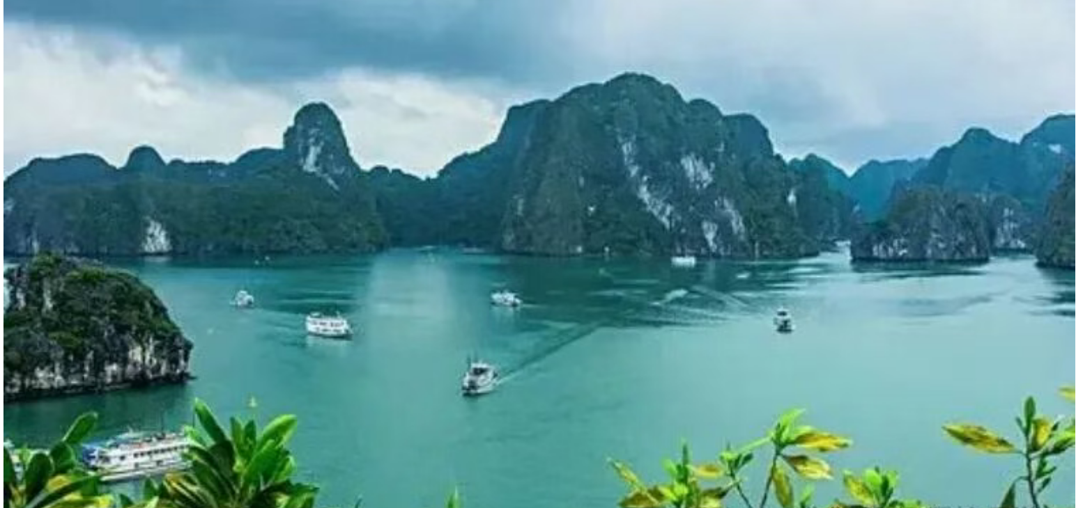 97b0eb29d988975165110ff0b6aeec8f