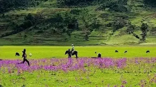 9870a47e1608280704d3540cd6ec2fa9-sz_39643 9870a47e1608280704d3540cd6ec2fa9-sz_39643