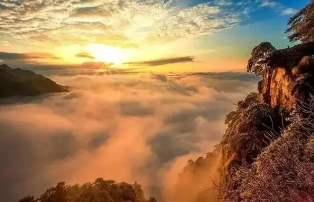 9873bdbba8cd4d877016695b519aff25-sz_416190