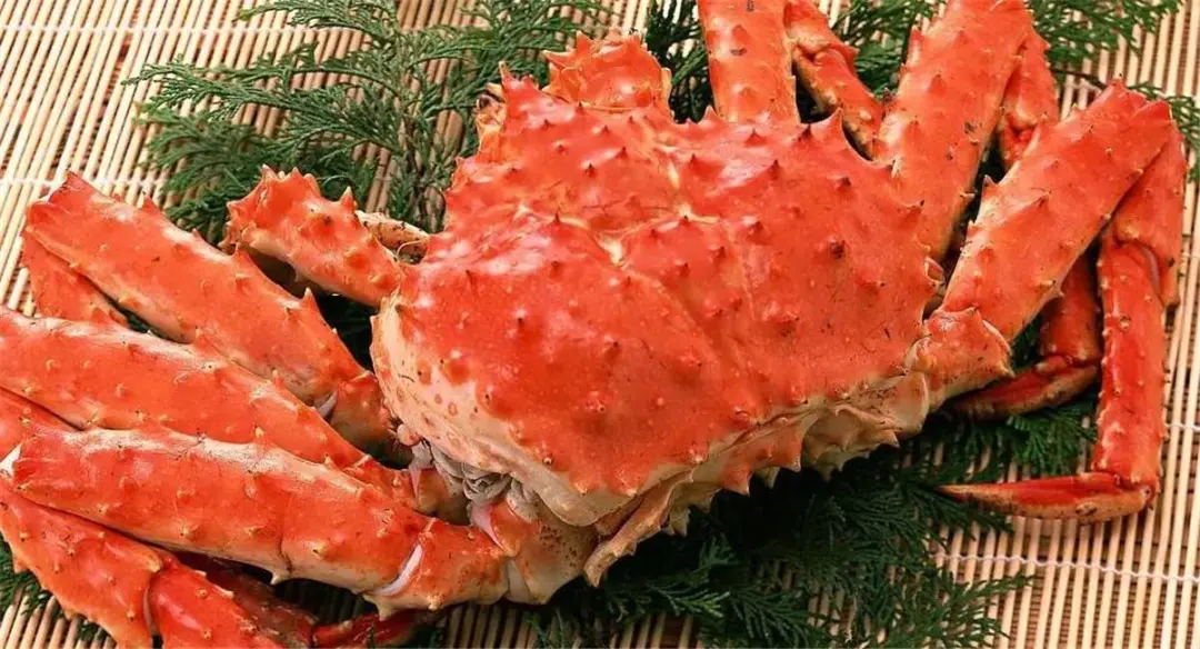 98bea1df395a7a720fce0de09bff6618-sz_162183 98bea1df395a7a720fce0de09bff6618-sz_162183