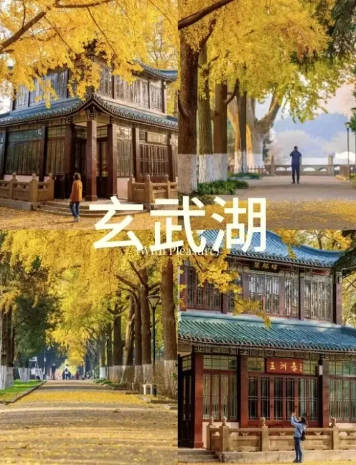 98c60d2d7ce33ce5a888457b643dc210-sz_1001905 98c60d2d7ce33ce5a888457b643dc210-sz_1001905