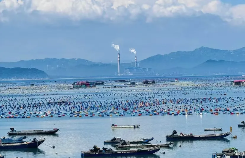 990866f6b5a719370d993be73aca472a-sz_821160 990866f6b5a719370d993be73aca472a-sz_821160