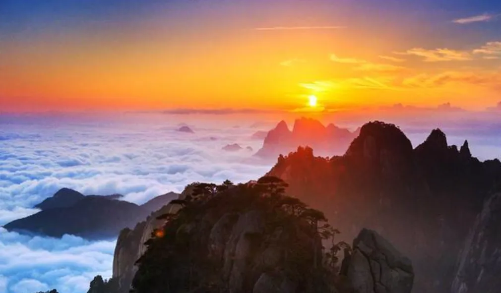 9958cf179c550565c502ec26fe0c626f-sz_701497-2