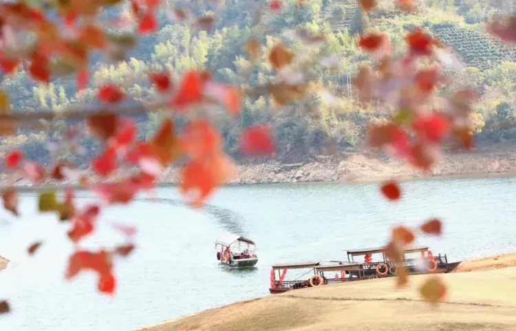 9a0f54ad13185033d95fec056bdb61fd-sz_111497 9a0f54ad13185033d95fec056bdb61fd-sz_111497