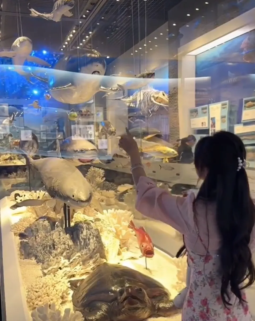 9a37821268141862976ac3366b2a38fd-sz_1919995 9a37821268141862976ac3366b2a38fd-sz_1919995