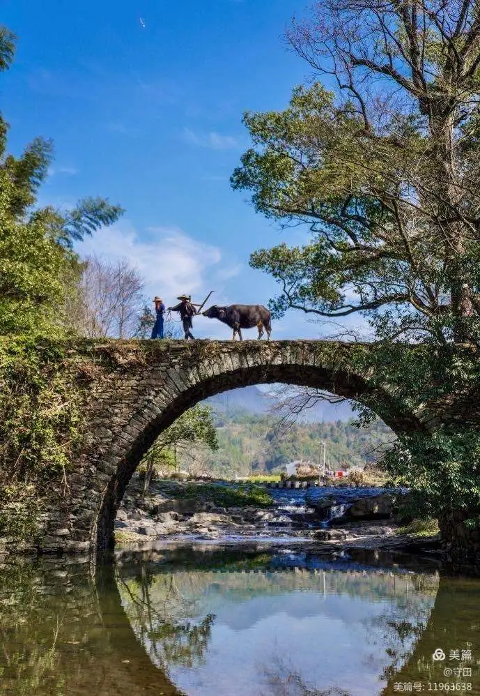 9b6aab68e65e24abb82506dcd2b35e92-sz_149620