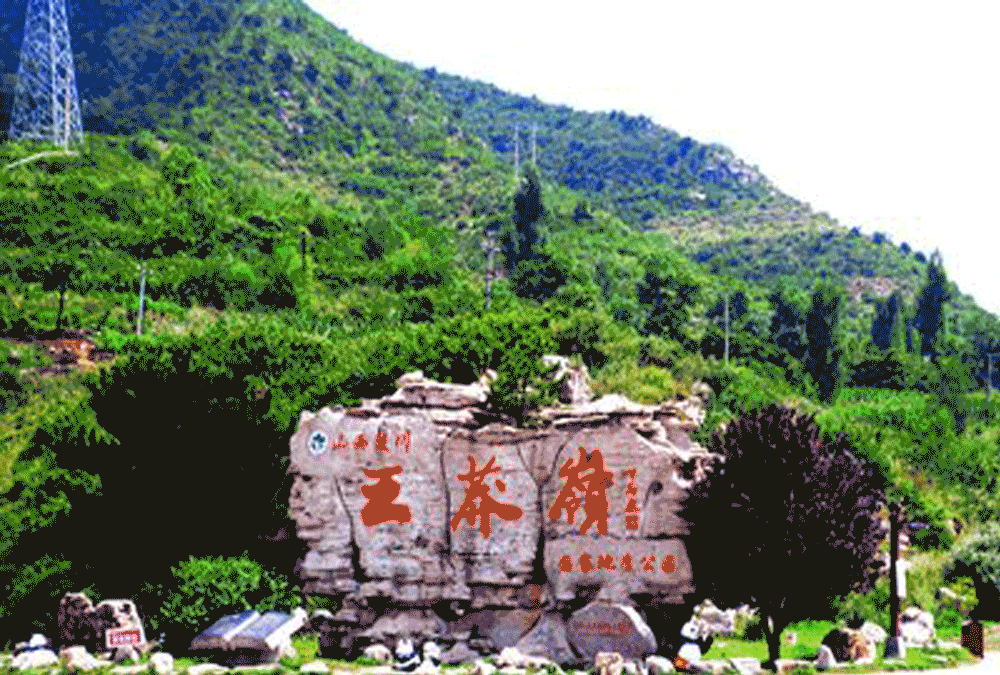 9ba02530e6e3cca0bb16491928e84732-sz_1109822 9ba02530e6e3cca0bb16491928e84732-sz_1109822