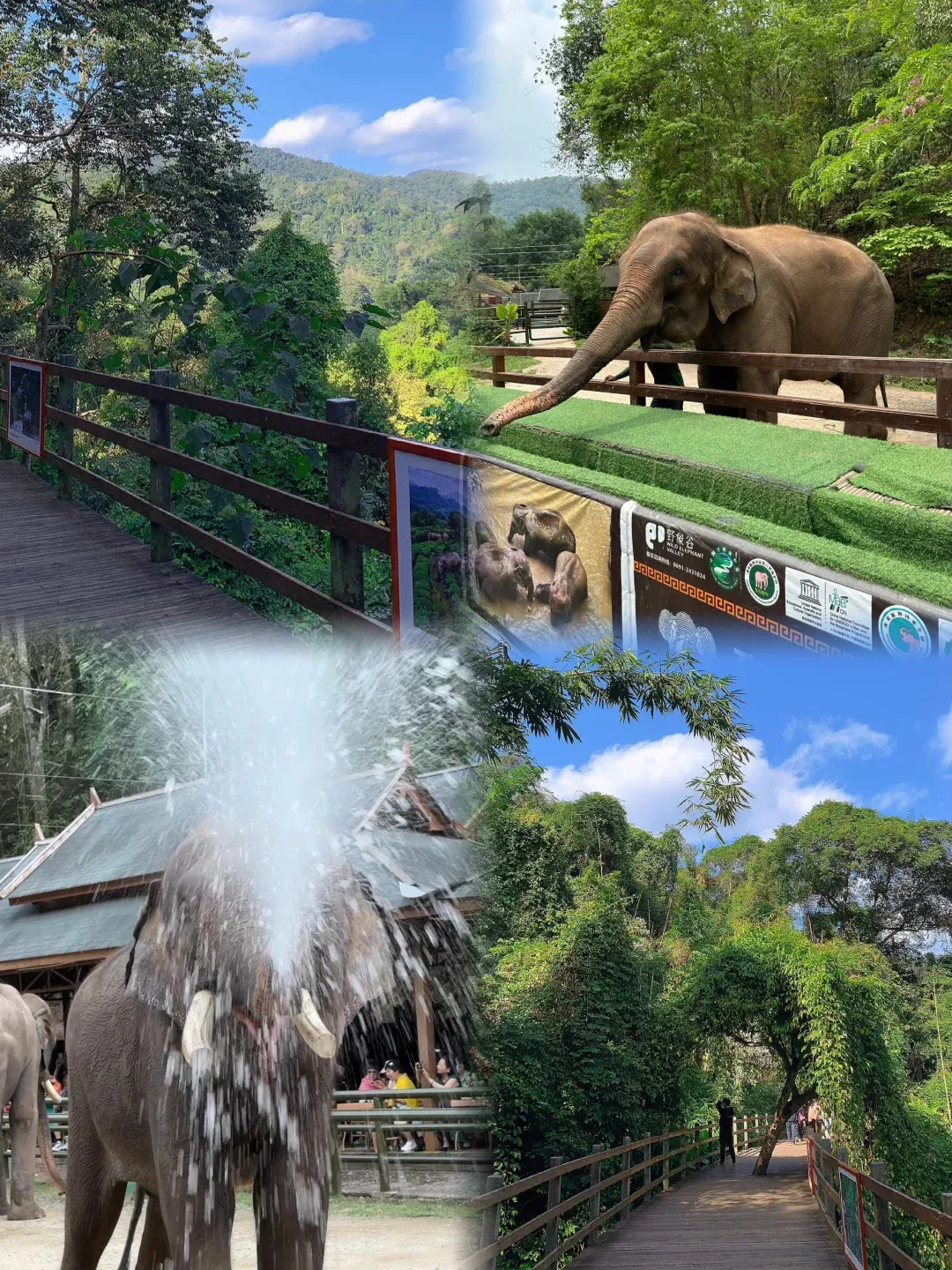 9bc8dfd733354c9f2a5a875b66b9347b-sz_3903357