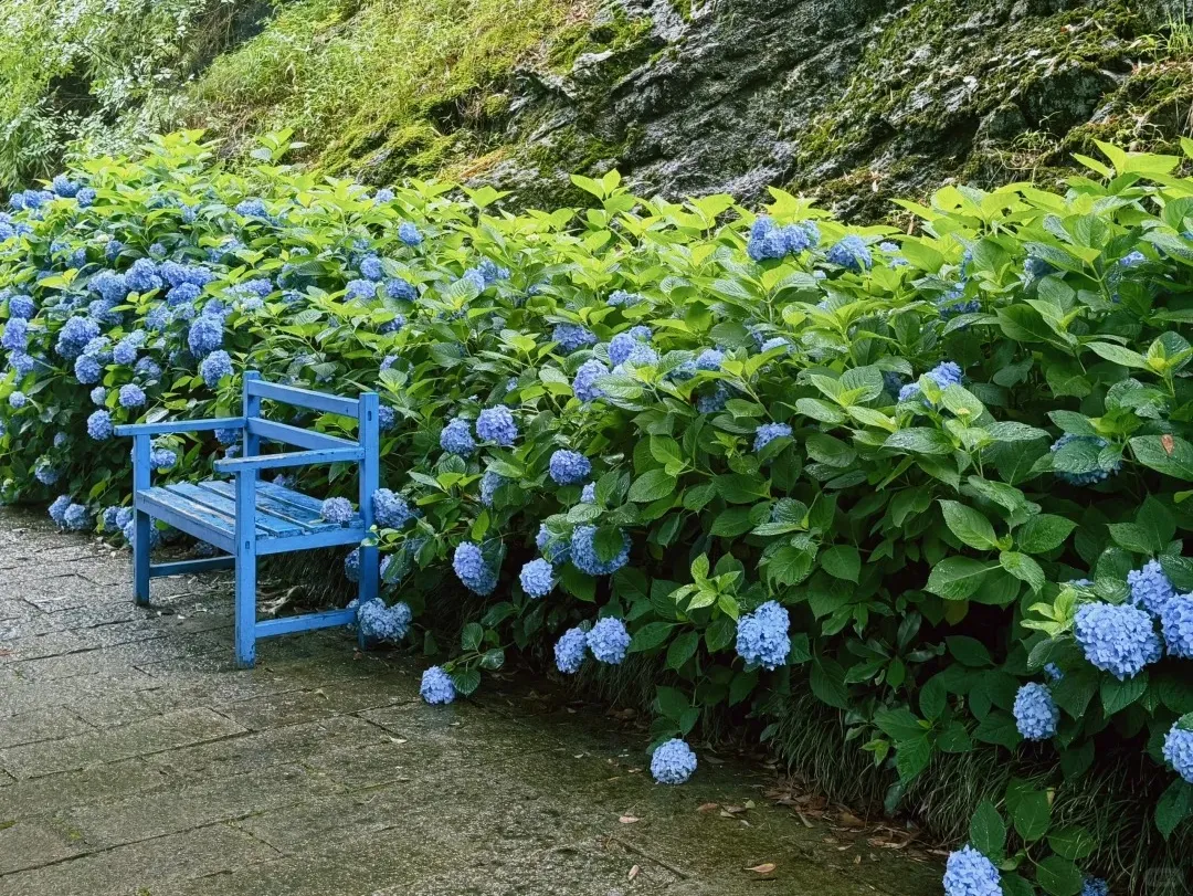 9bf12cdf19e1960c30e1b5d7219fea3d-sz_641462