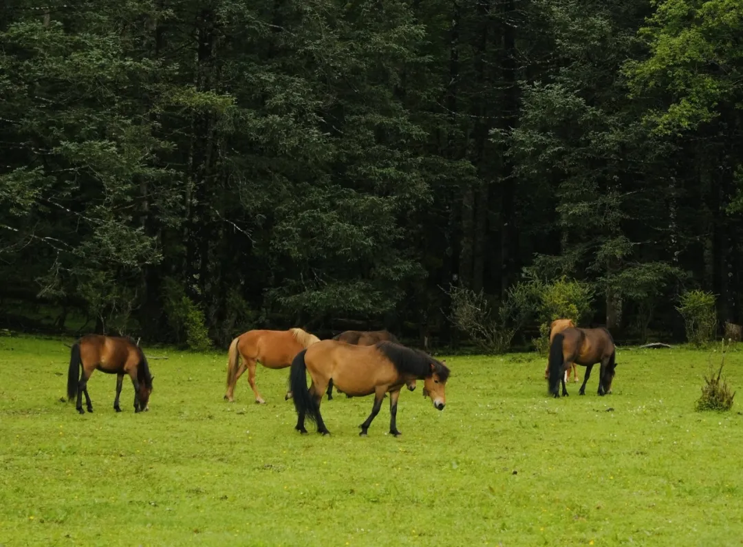 9c061cd65118b19948b158d9e17feffa-sz_549730 9c061cd65118b19948b158d9e17feffa-sz_549730