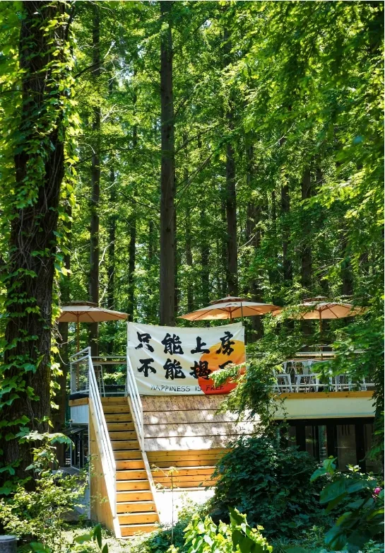 9c0f9cbcee304792279d580cb45570ae-sz_485718-1 9c0f9cbcee304792279d580cb45570ae-sz_485718-1