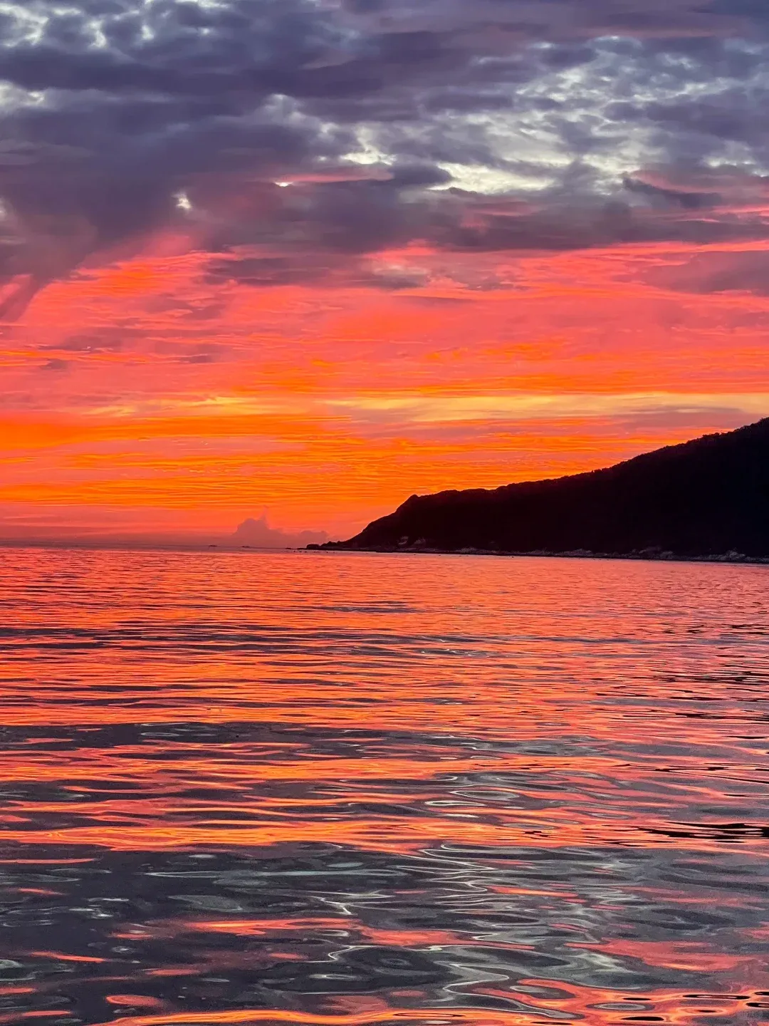 9c8cb611e8f4dedbd7ce5f83e8f1bcfc-sz_2861928 9c8cb611e8f4dedbd7ce5f83e8f1bcfc-sz_2861928