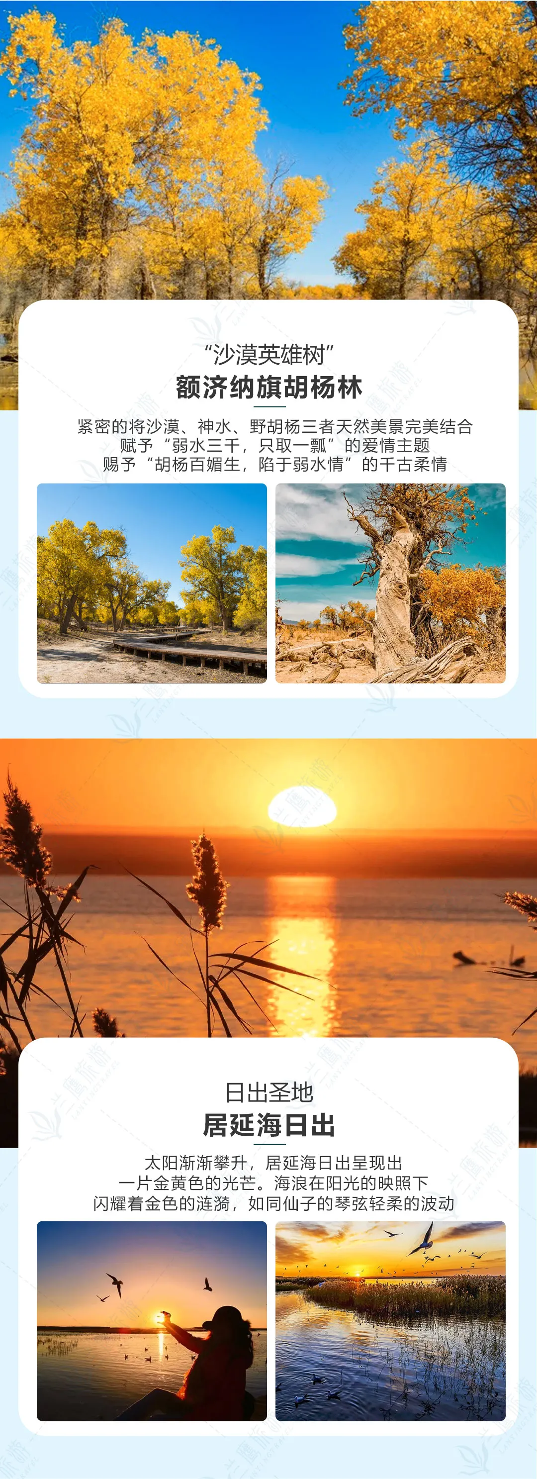 9d86c07f1abd53d9bfa9824db8e61395-sz_733494