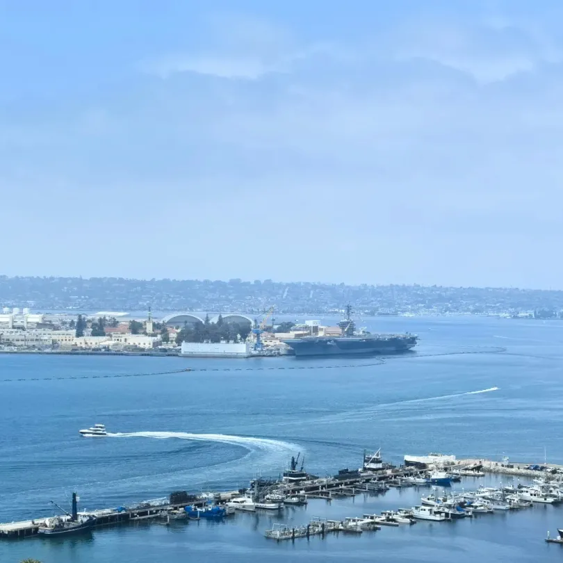 9dbb620e93552a3bb48addb77365f70d-sz_256218 9dbb620e93552a3bb48addb77365f70d-sz_256218