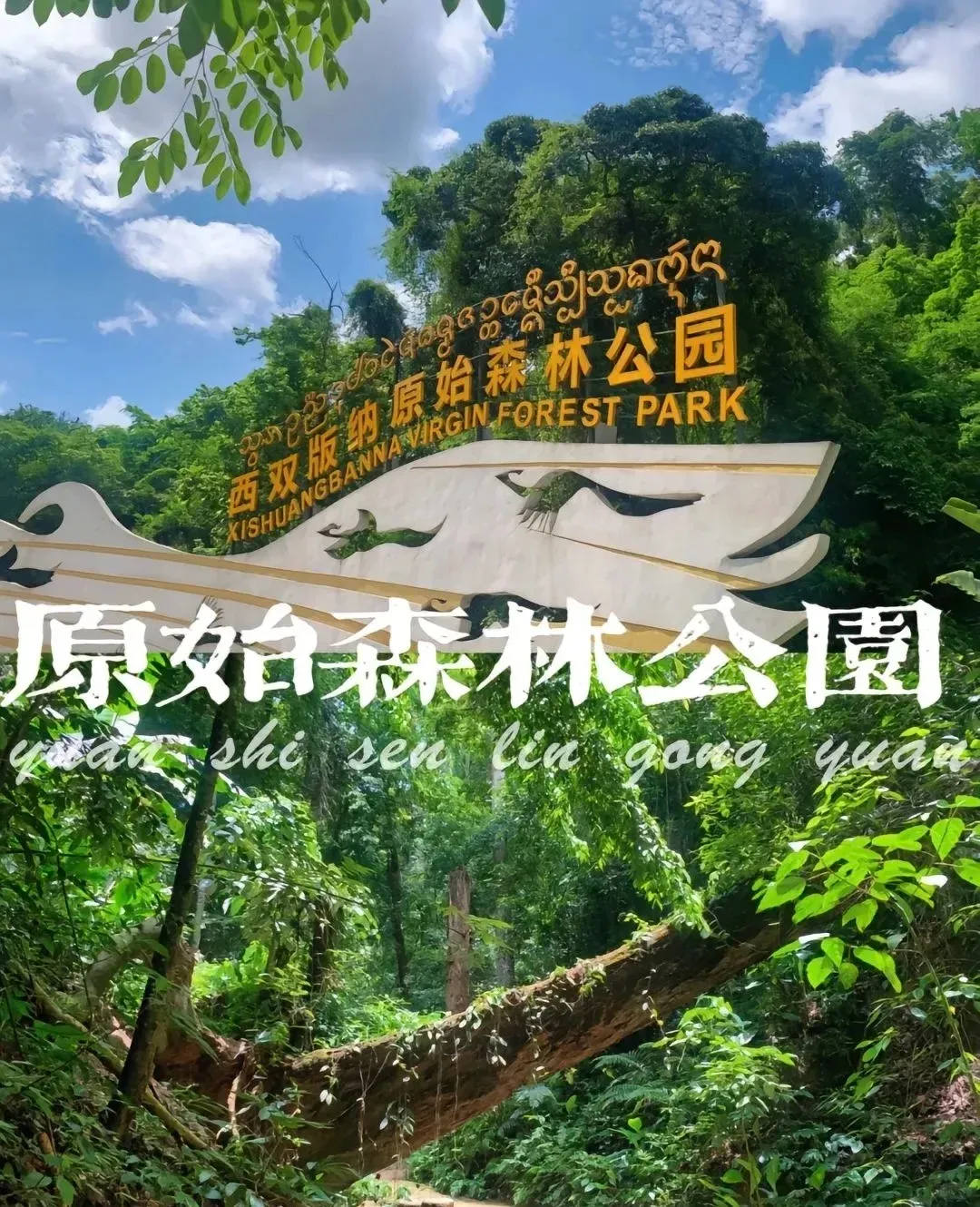 9de5bc043d1ed494189d9d185c30cd2d-sz_3237833-1