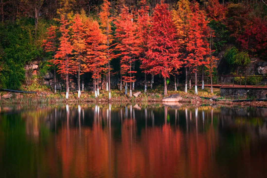 9de9ff69fd1f02e87e67725b4986c834-sz_952087 9de9ff69fd1f02e87e67725b4986c834-sz_952087