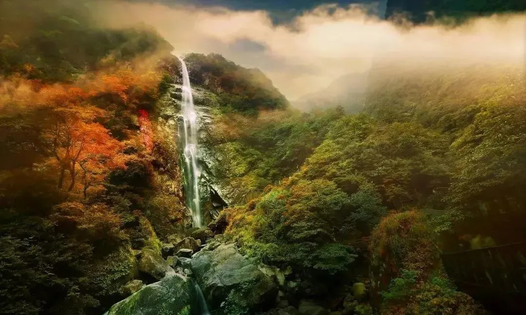 9df2cf5b2b5405aa1626d1db48340f32-sz_139433 9df2cf5b2b5405aa1626d1db48340f32-sz_139433