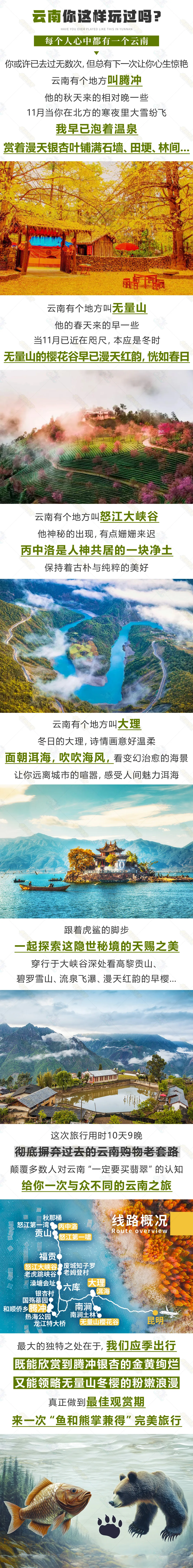 9df601cdc21eebc8cf0511237c60a6d4-sz_4963919-3