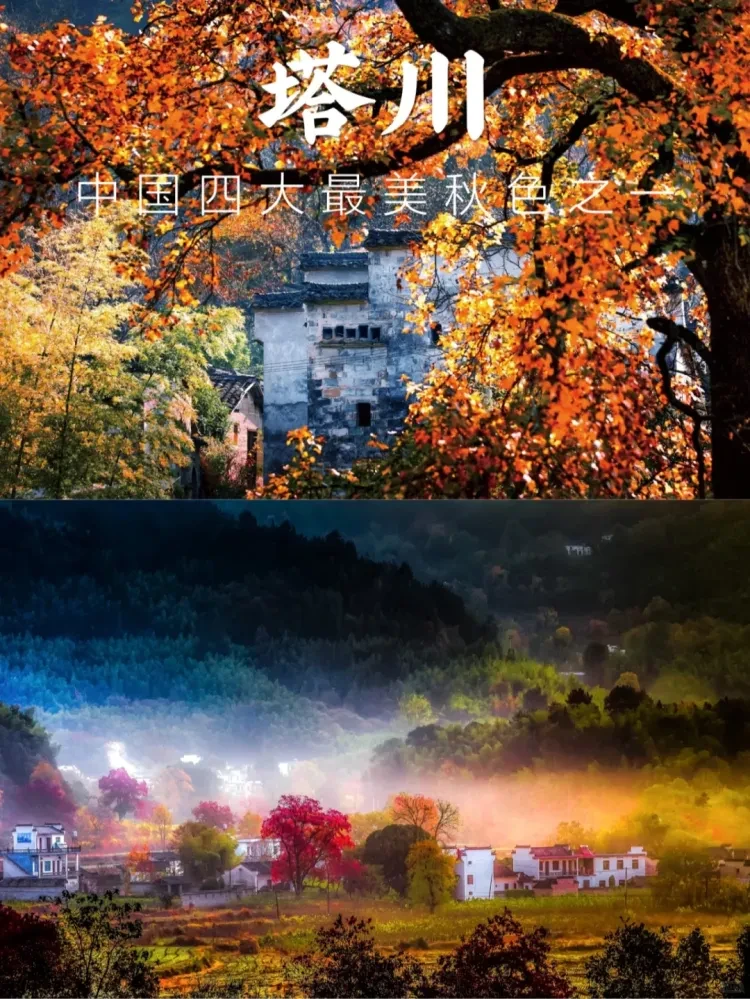 9e1dd545b604e9f5bf426d2ba7e5ec79-sz_3529336-1 9e1dd545b604e9f5bf426d2ba7e5ec79-sz_3529336-1