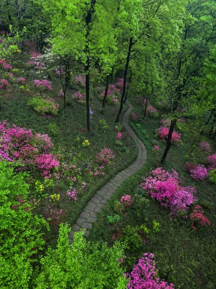 9e3e209db248fb4b130afed70ea8692d-sz_3480647 9e3e209db248fb4b130afed70ea8692d-sz_3480647