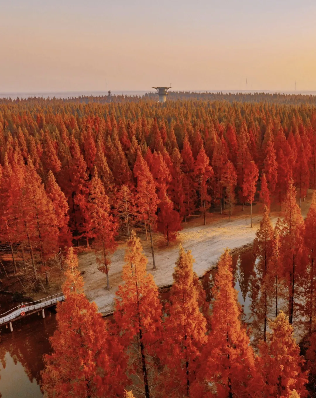 9ea100e320d6785a383d3303d97d48d7-sz_2431663