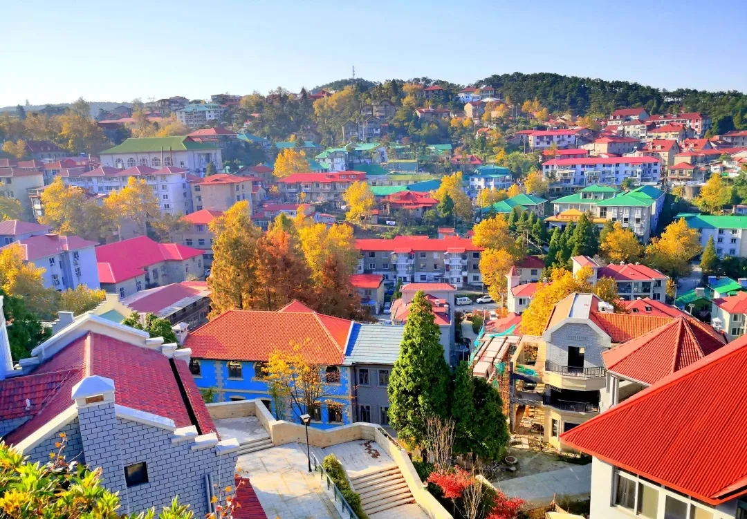 9ee6947263614672e08b49080d59910c-sz_1003915